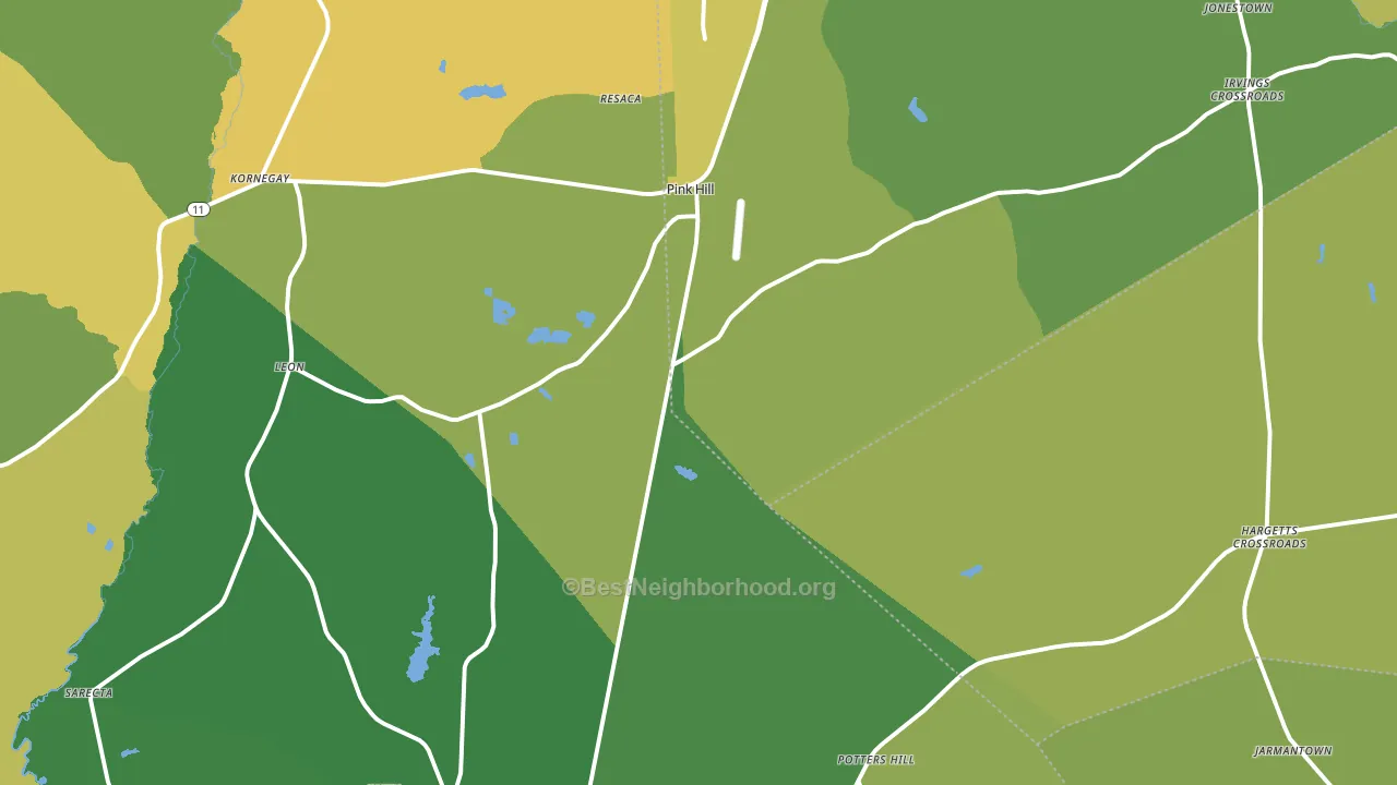 Pink Hill, NC block-group voter-turnout map
