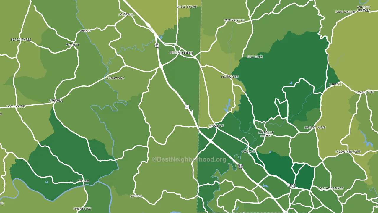 Pinnacle, NC block-group voter-turnout map