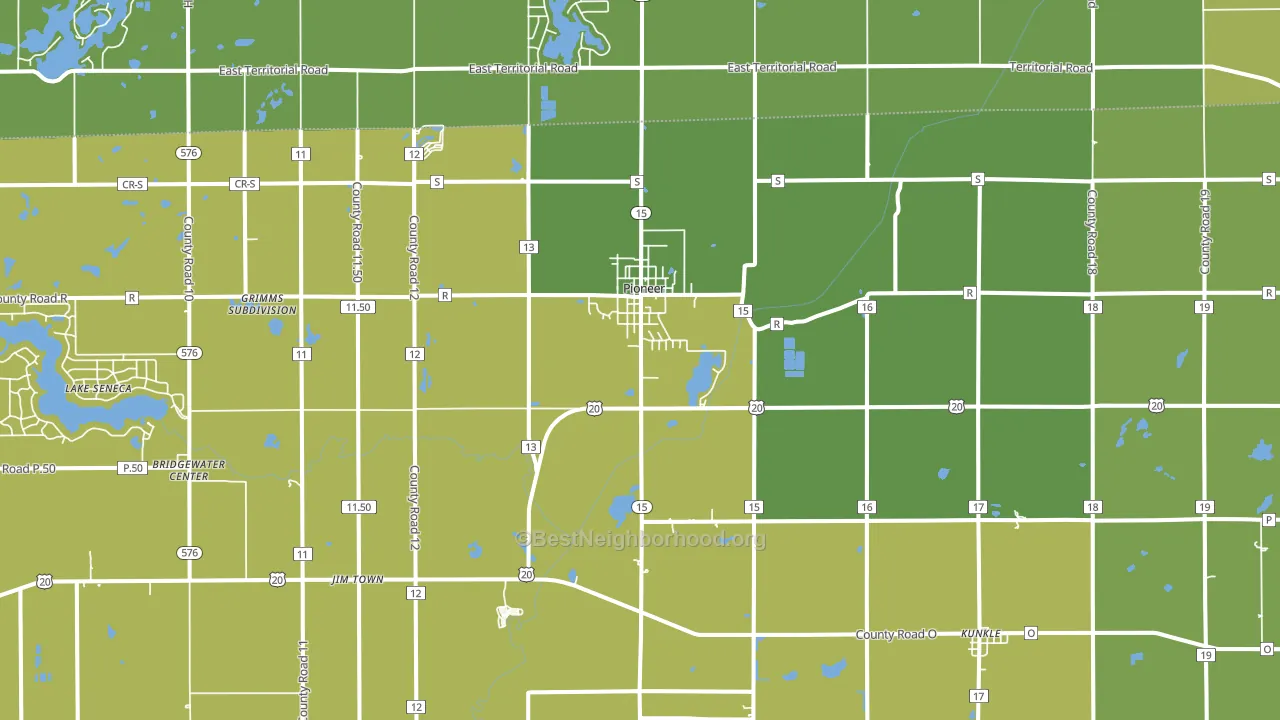 Pioneer, OH block-group voter-turnout map
