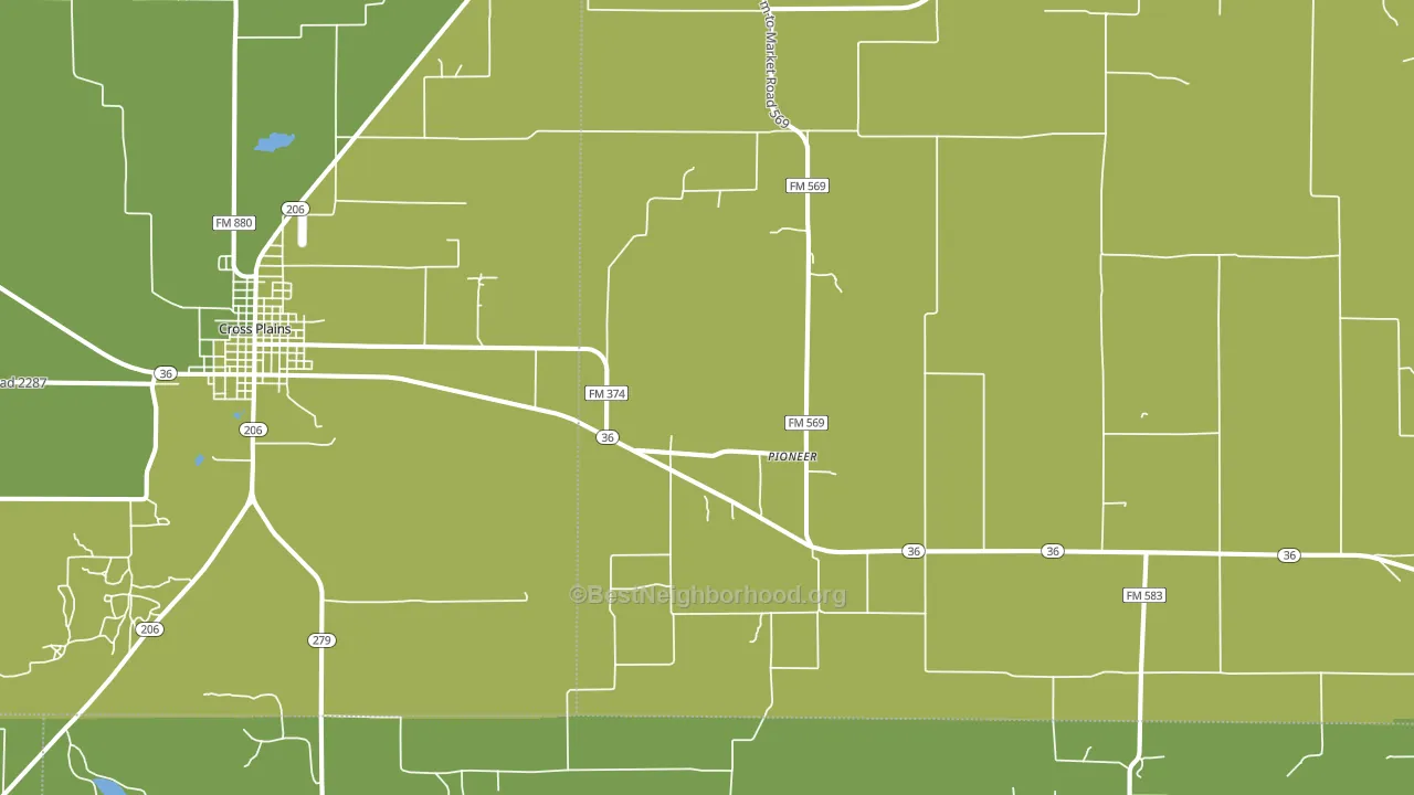 Pioneer, TX block-group voter-turnout map
