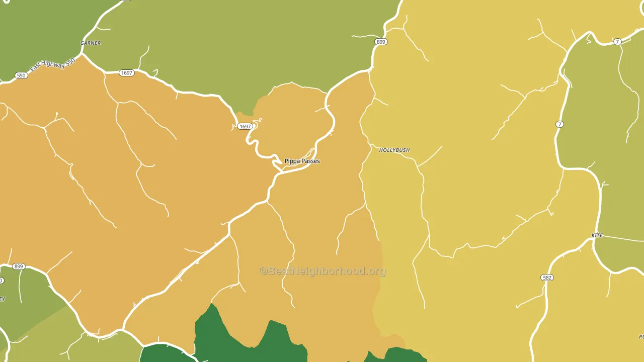 Pippa Passes, KY block-group voter-turnout map