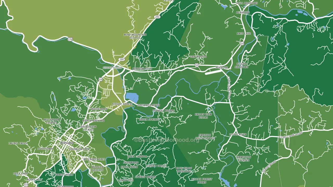 Pisgah Forest, NC block-group voter-turnout map
