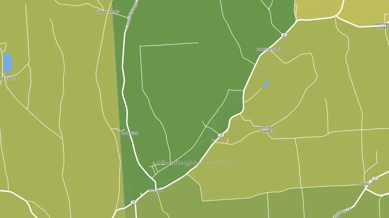 Pitcher, NY block-group voter-turnout map