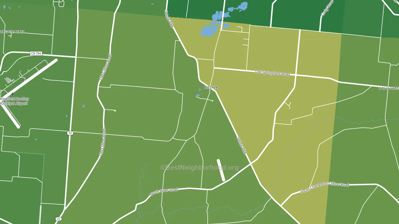 Pitchin, OH block-group voter-turnout map