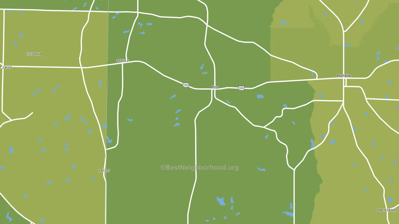 Pitts, GA block-group voter-turnout map
