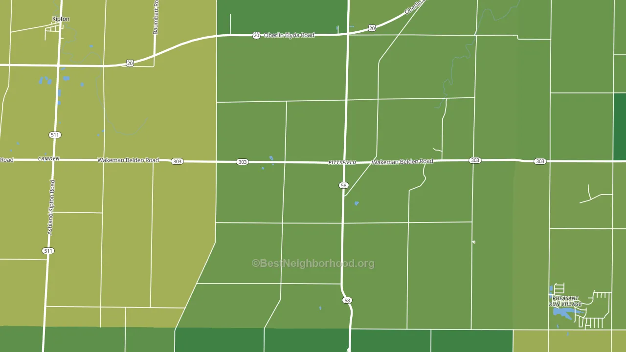 Pittsfield, OH block-group voter-turnout map