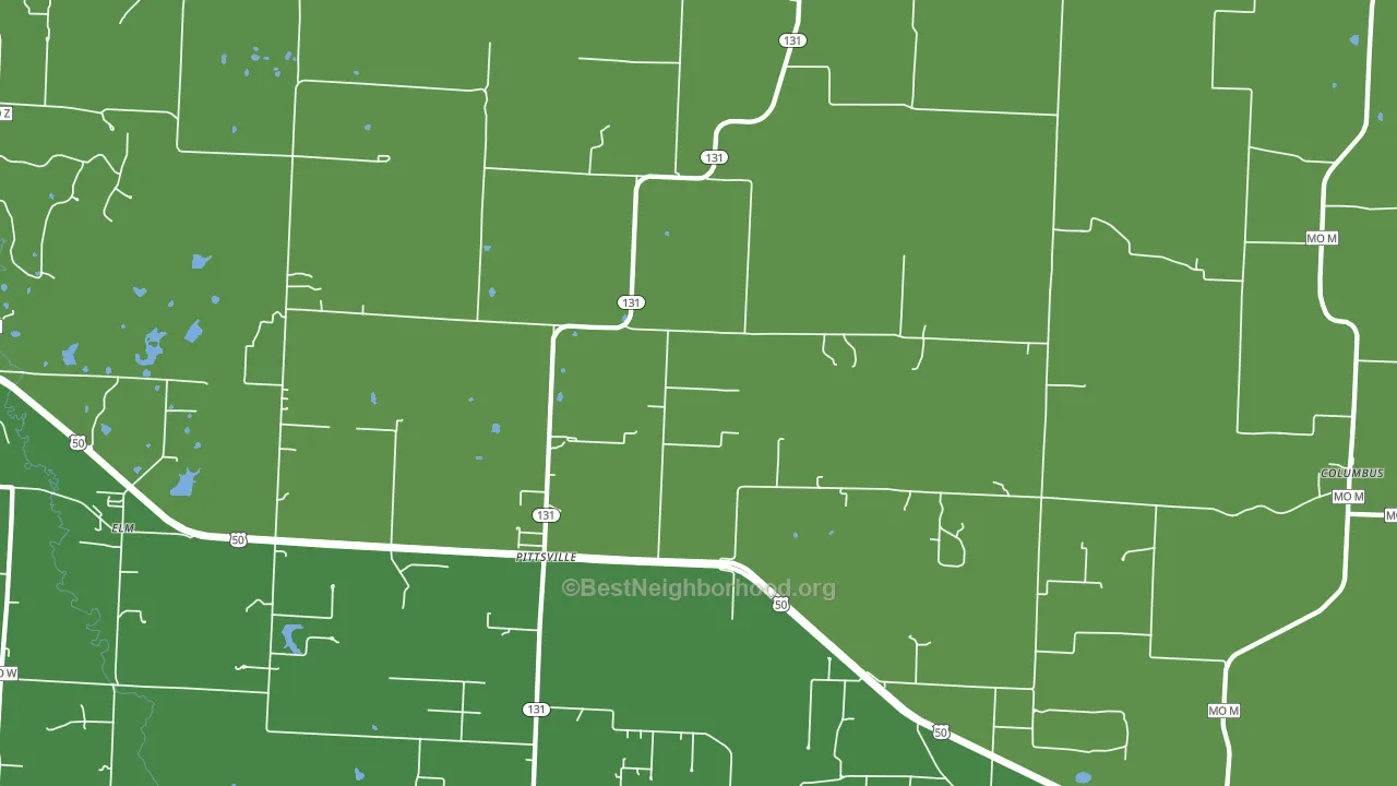 Pittsville, MO block-group voter-turnout map