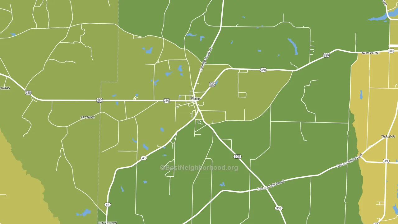 Plains, GA block-group voter-turnout map