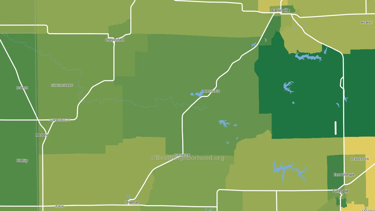 Plainview, IL block-group voter-turnout map