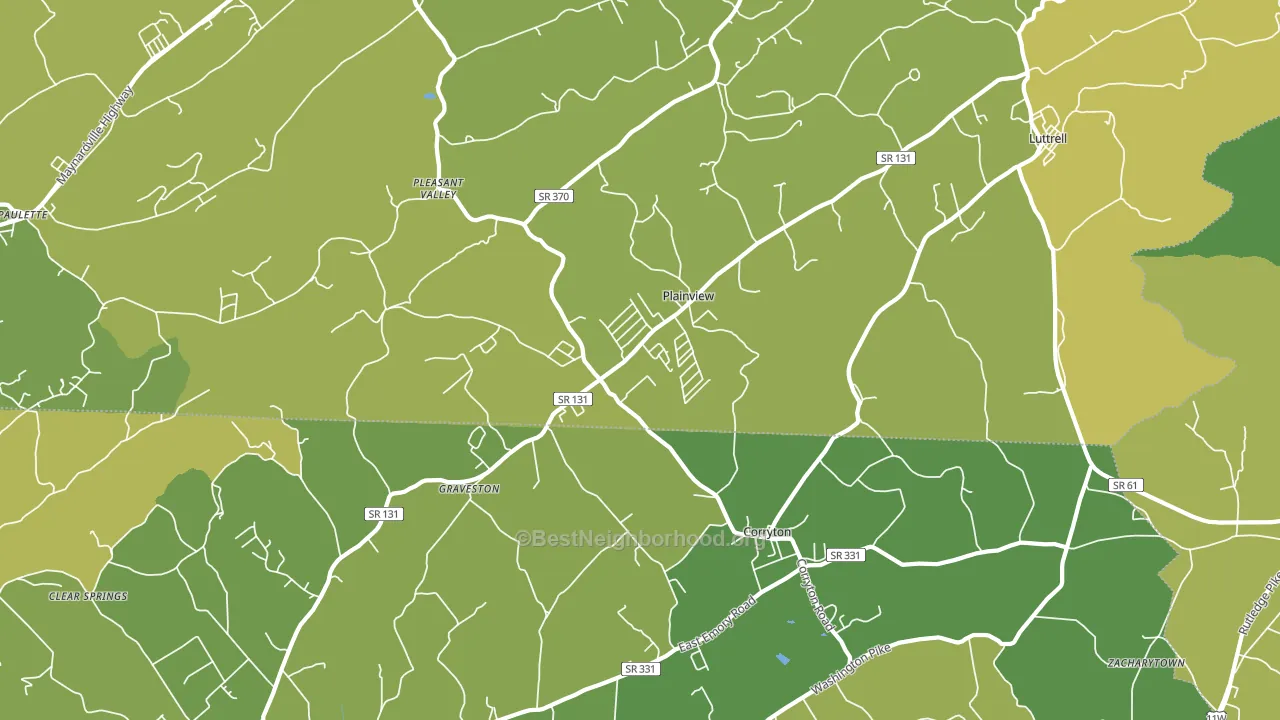 Plainview, TN block-group voter-turnout map