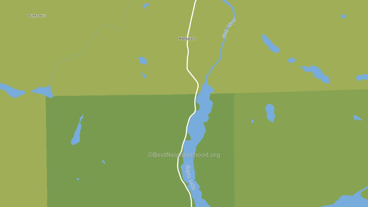 Plaisted, ME block-group voter-turnout map