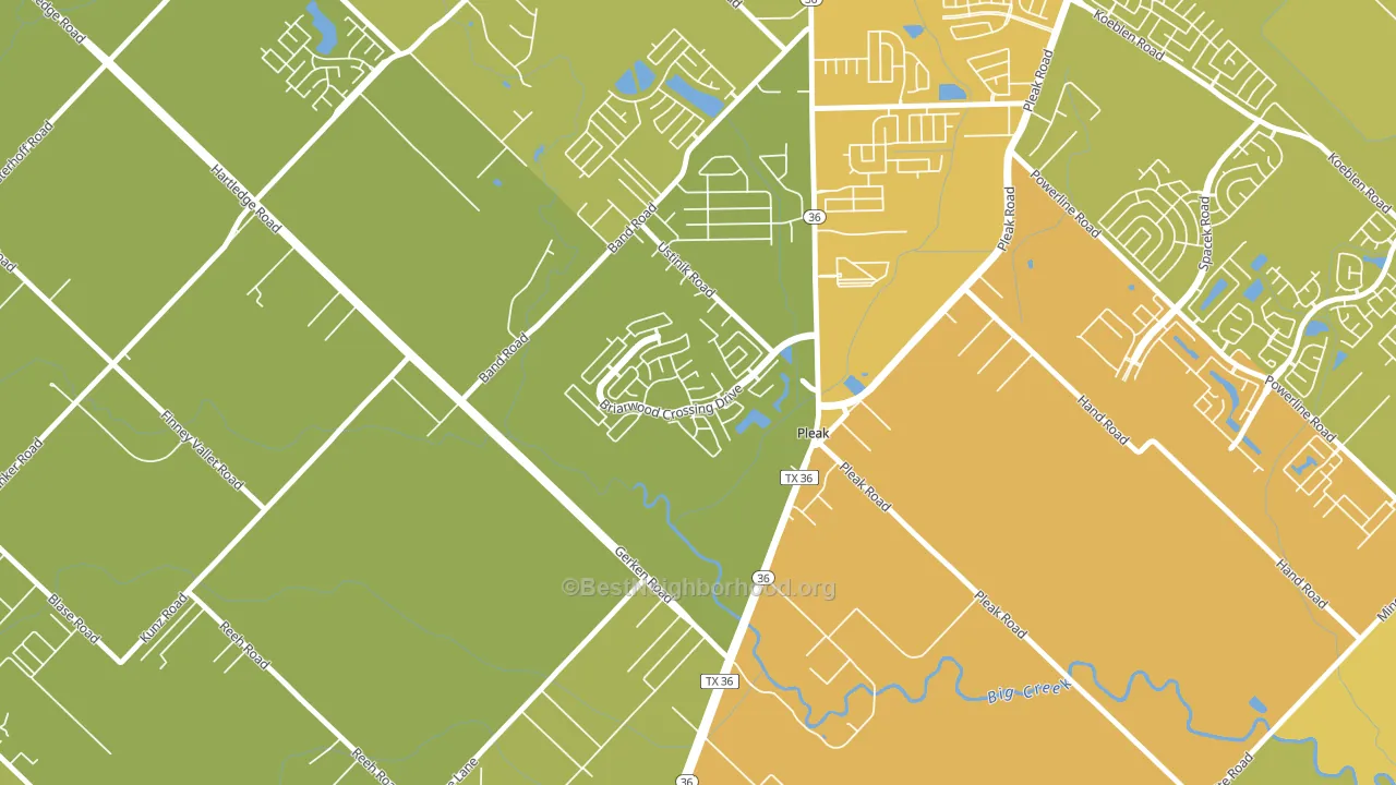 Pleak, TX block-group voter-turnout map