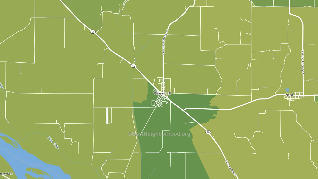 Pleasant Hill, IL block-group voter-turnout map