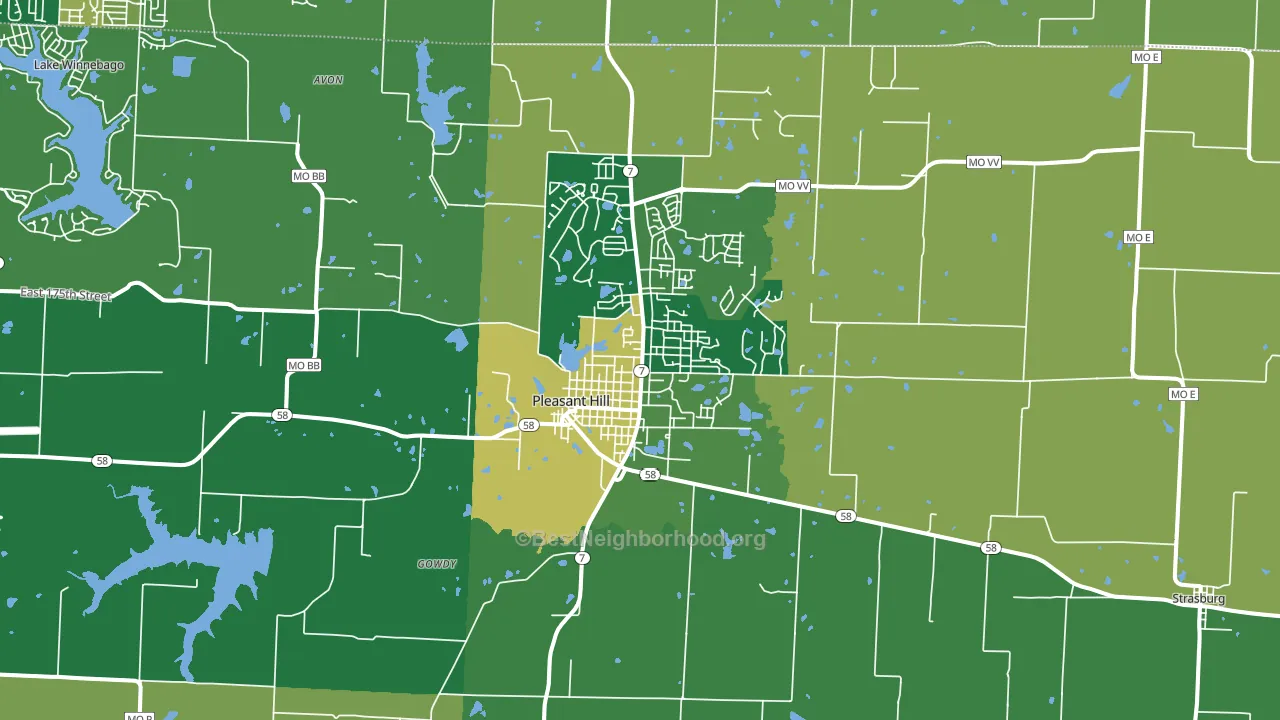 Pleasant Hill, MO block-group voter-turnout map