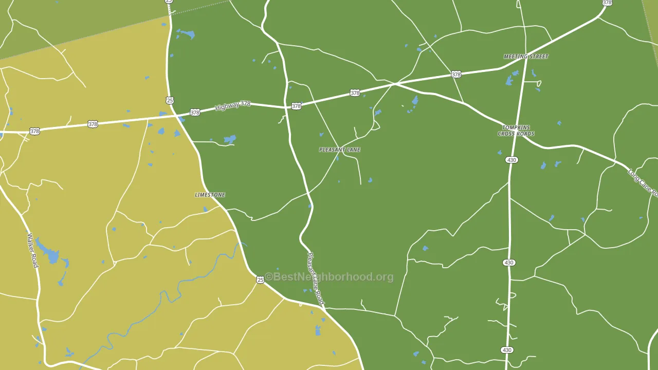Pleasant Lane, SC block-group voter-turnout map