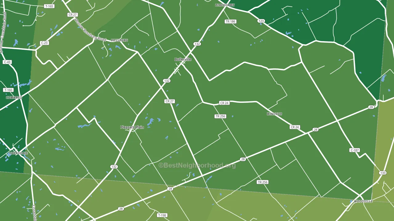 Pleasant Plain, OH block-group voter-turnout map