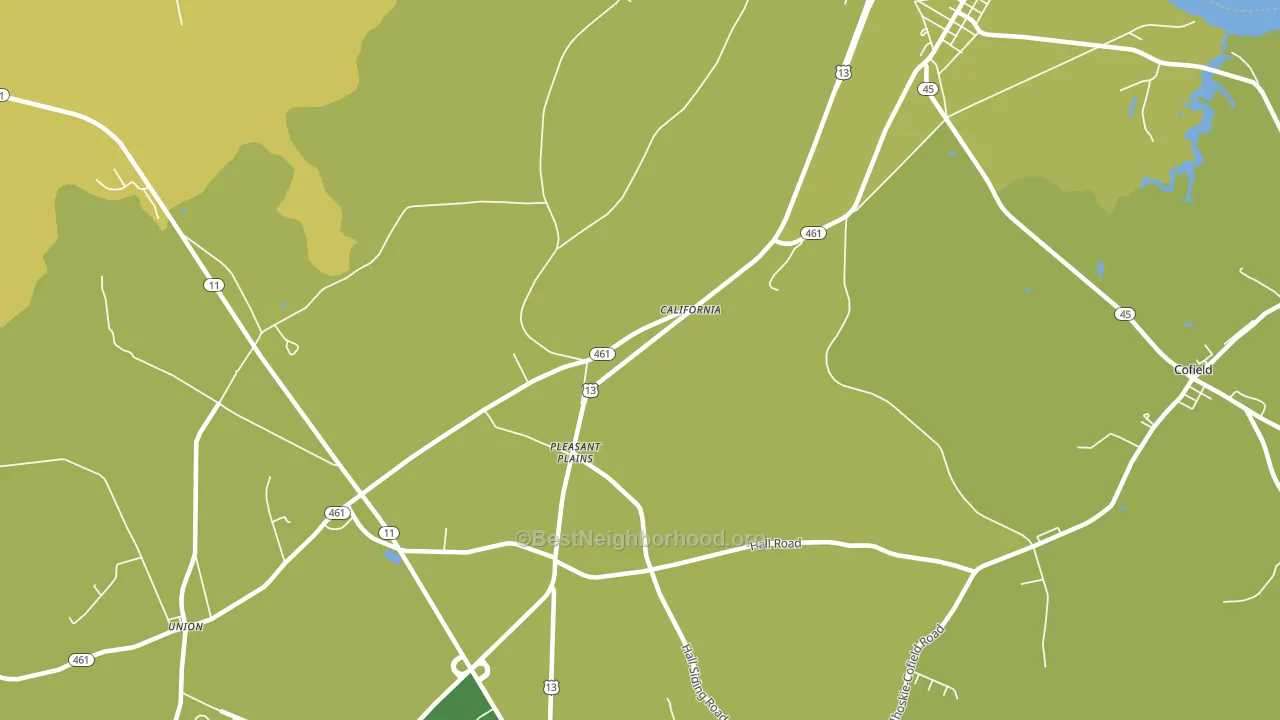 Pleasant Plains, NC block-group voter-turnout map