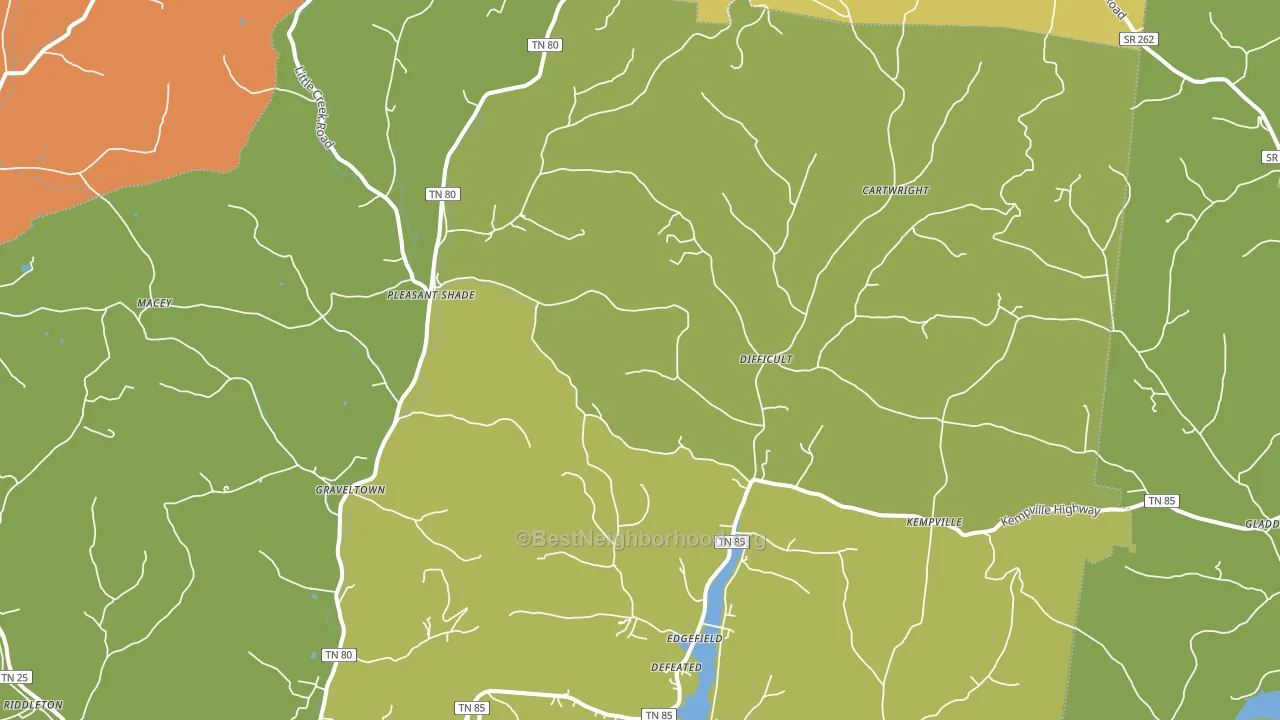 Pleasant Shade, TN block-group voter-turnout map