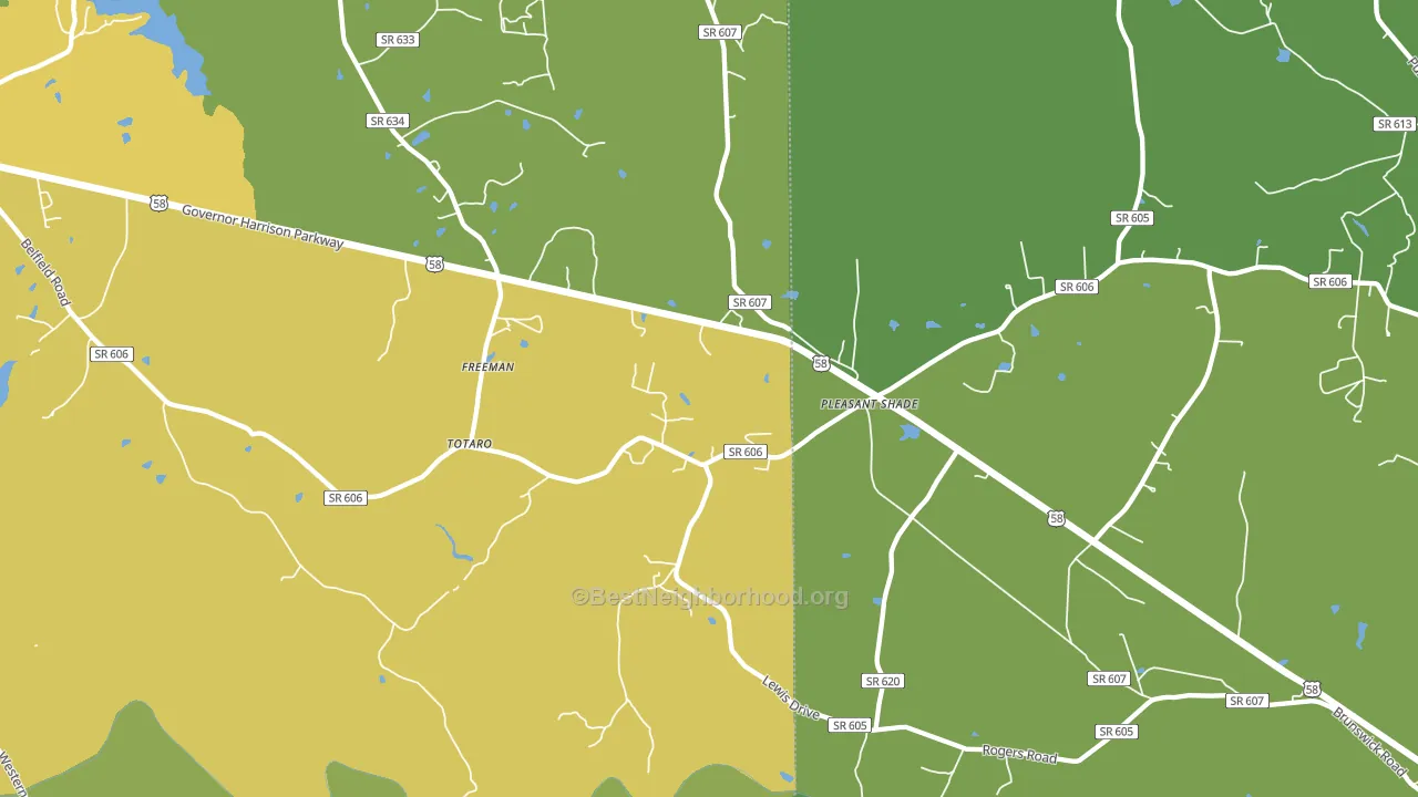 Pleasant Shade, VA block-group voter-turnout map