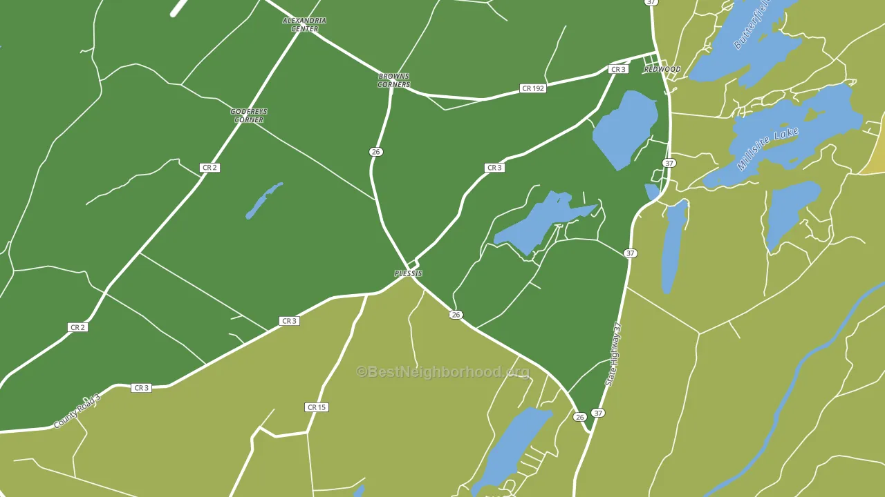 Plessis, NY block-group voter-turnout map