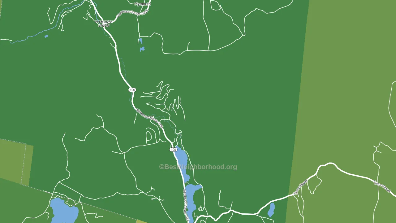 Plymouth, VT block-group voter-turnout map