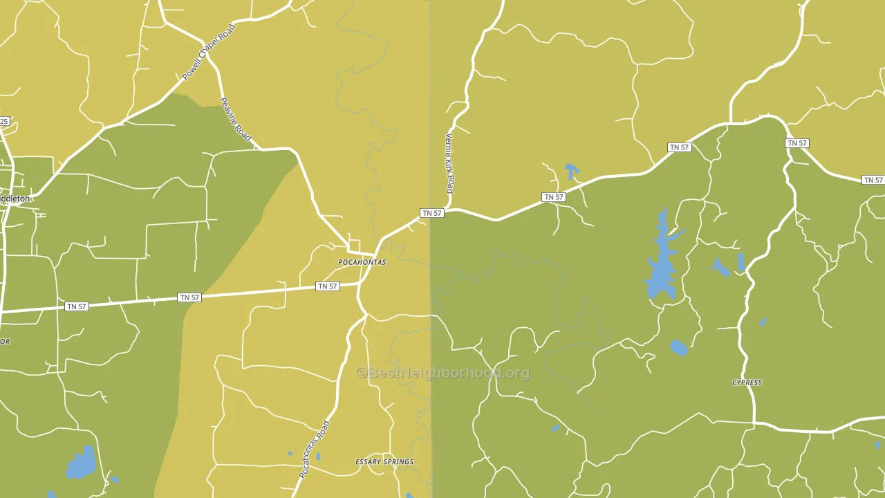 Pocahontas, TN block-group voter-turnout map