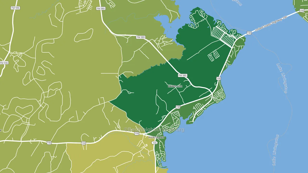 Point Blank, TX block-group voter-turnout map