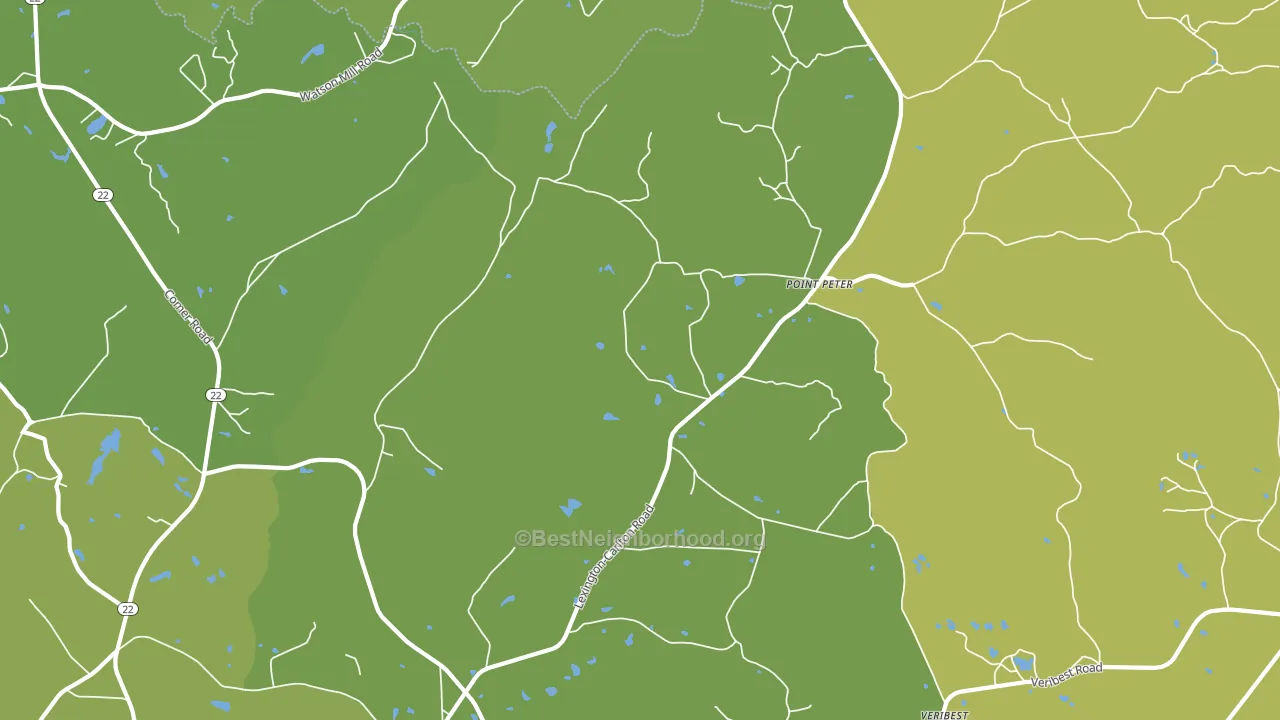 Point Peter, GA block-group voter-turnout map