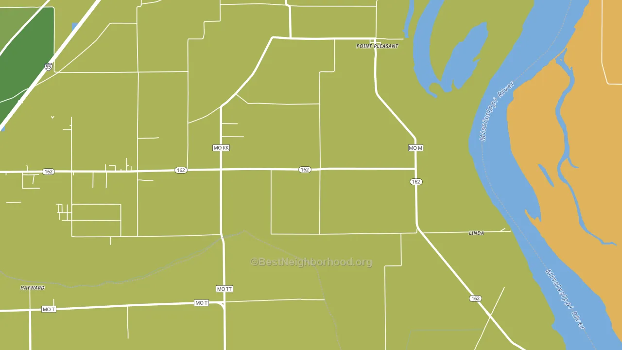 Point Pleasant, MO block-group voter-turnout map