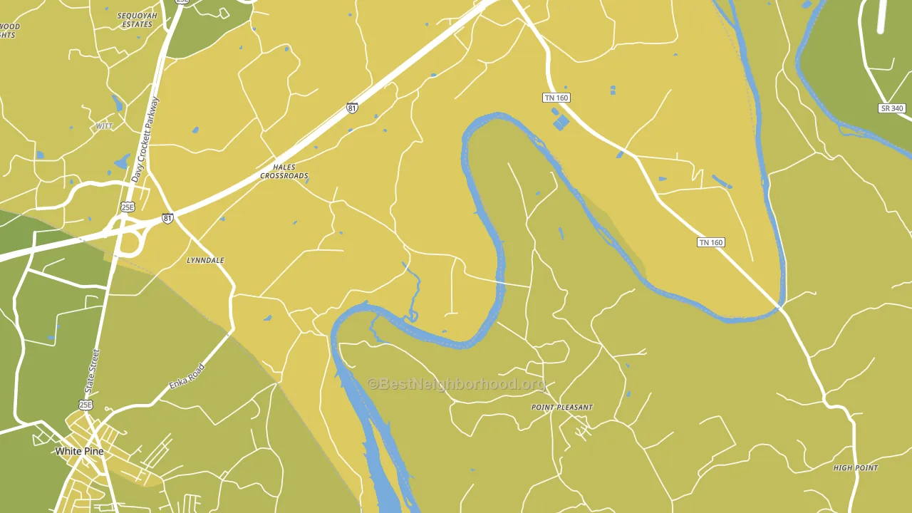 Point Pleasant, TN block-group voter-turnout map