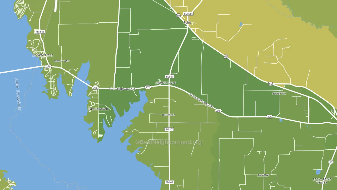 Point, TX block-group voter-turnout map