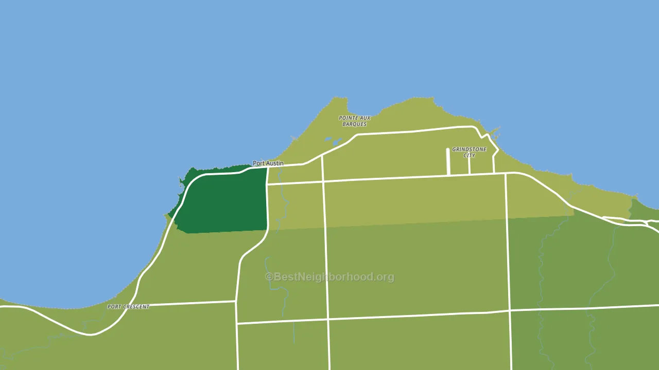 Pointe Aux Barques, MI block-group voter-turnout map
