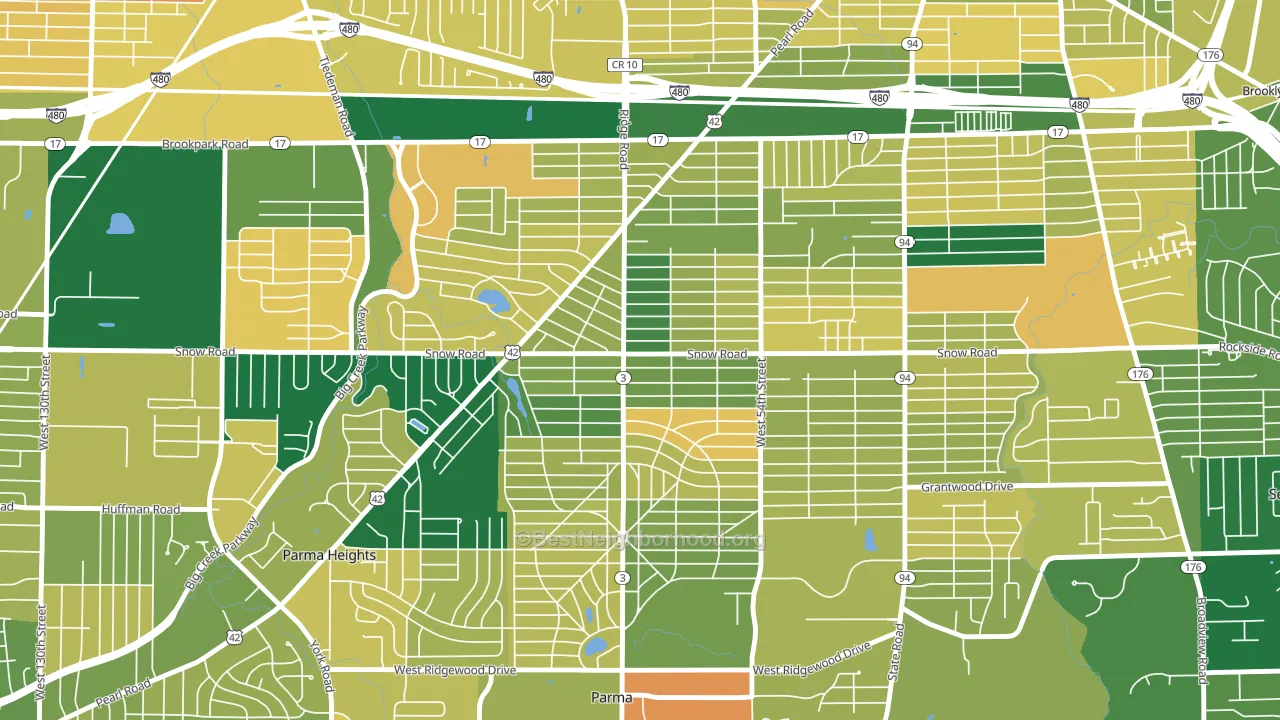 Polish Village, Parma, OH block-group voter-turnout map