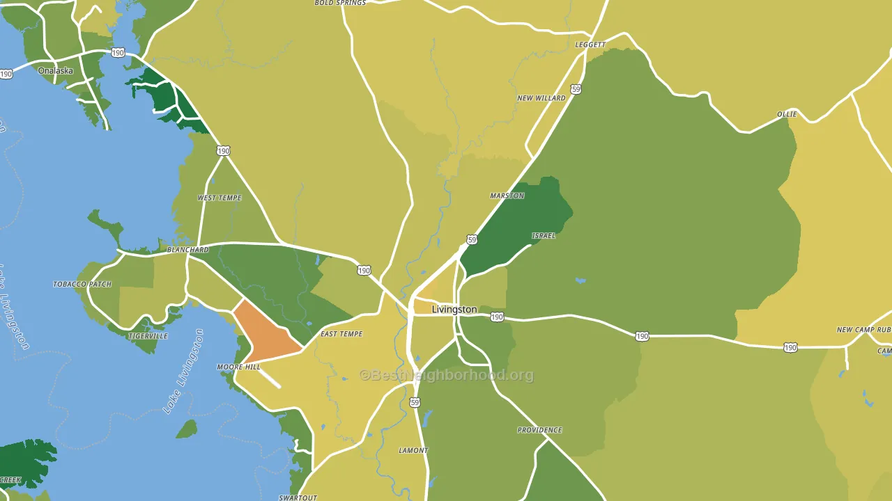 Polk County, TX block-group voter-turnout map