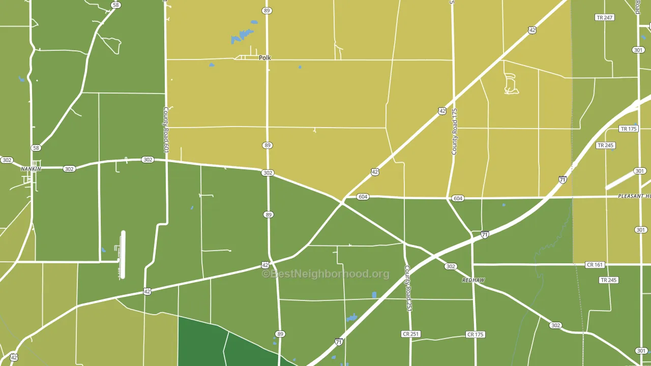 Polk, OH block-group voter-turnout map