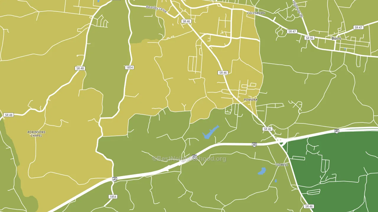 Pomona, TN block-group voter-turnout map