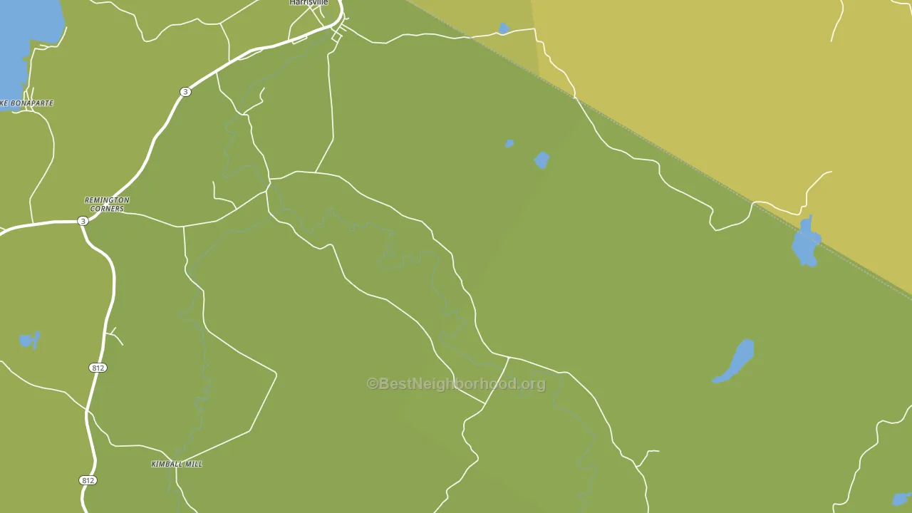 Pond Settlement, NY block-group voter-turnout map