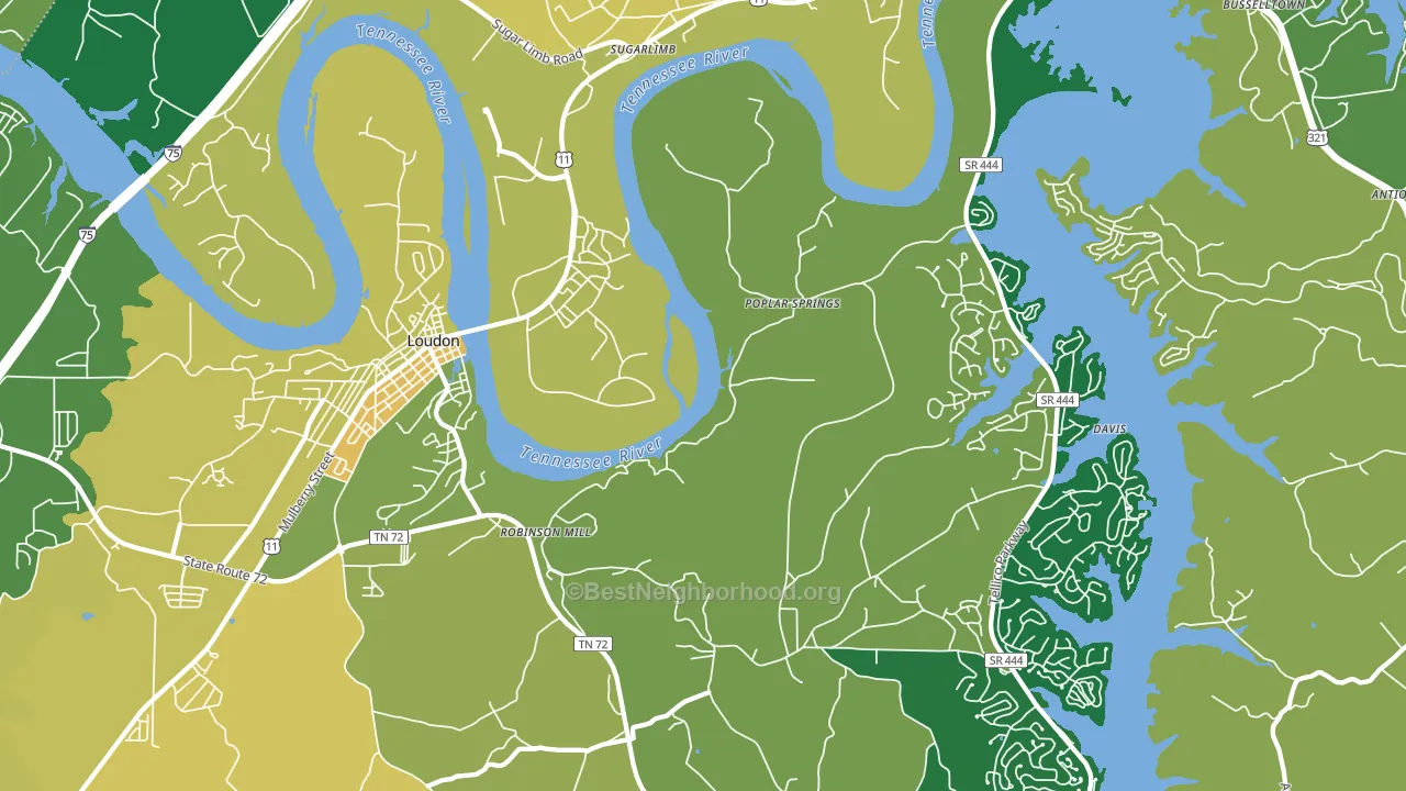Poplar Springs, TN block-group voter-turnout map