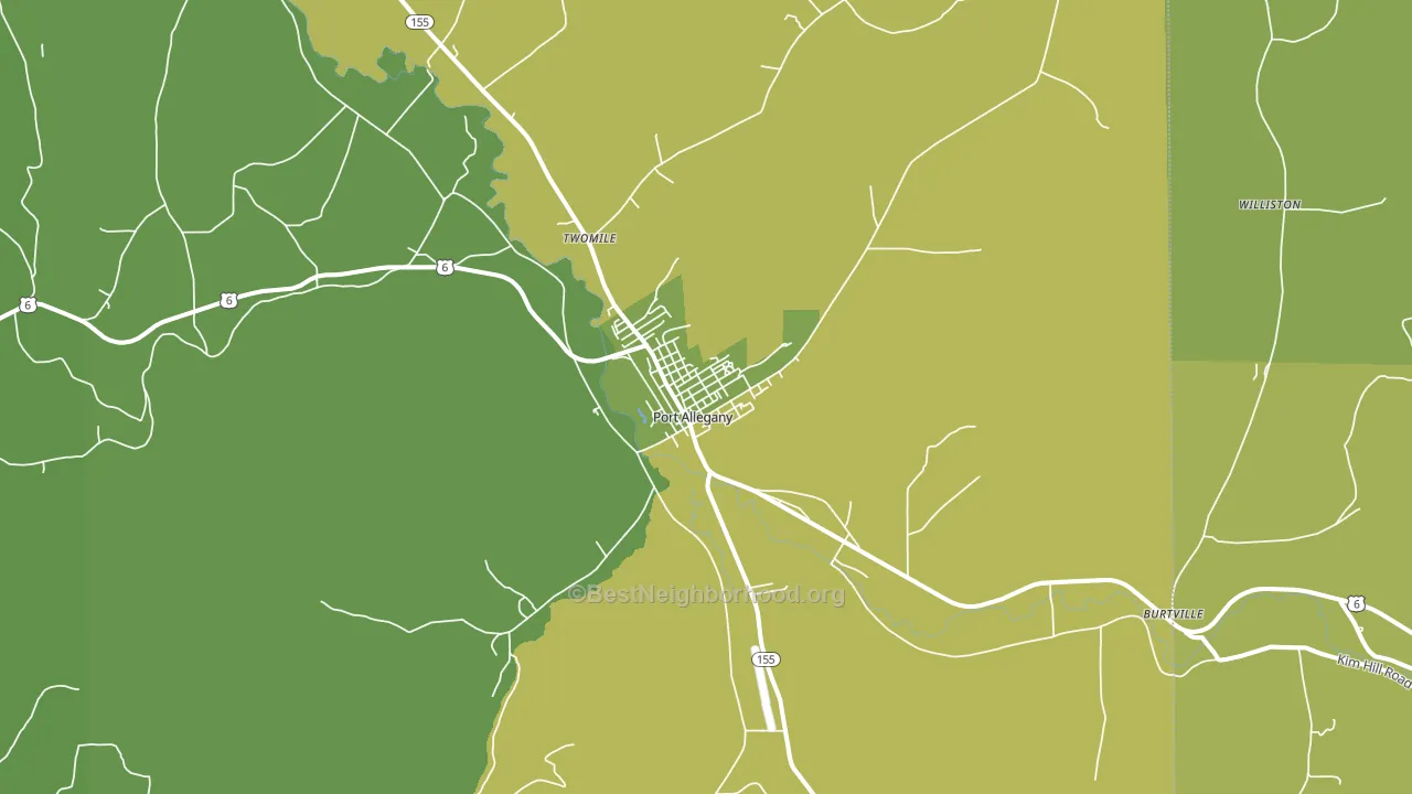 Port Allegany, PA block-group voter-turnout map