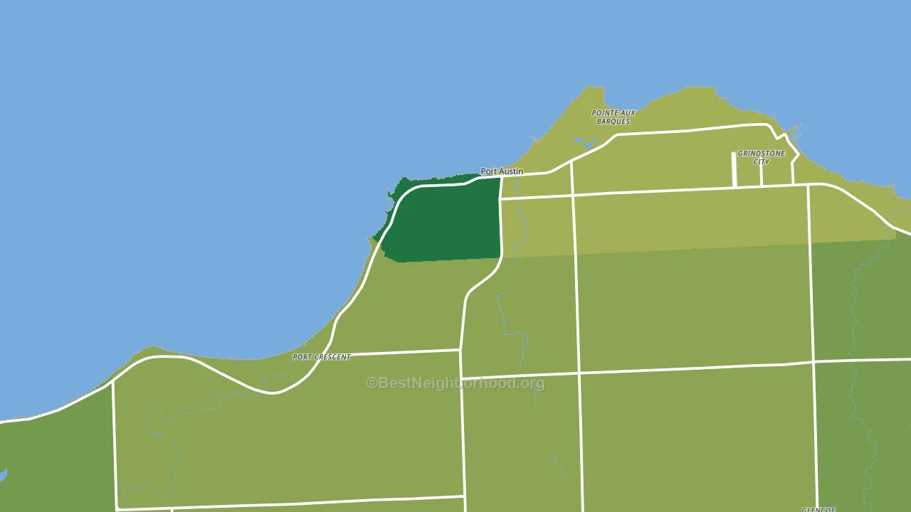 Port Austin, MI block-group voter-turnout map