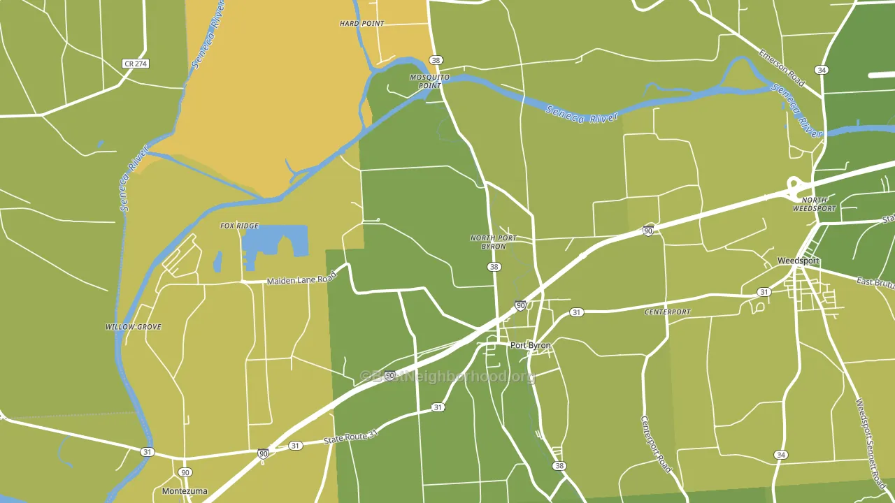 Port Byron, NY block-group voter-turnout map