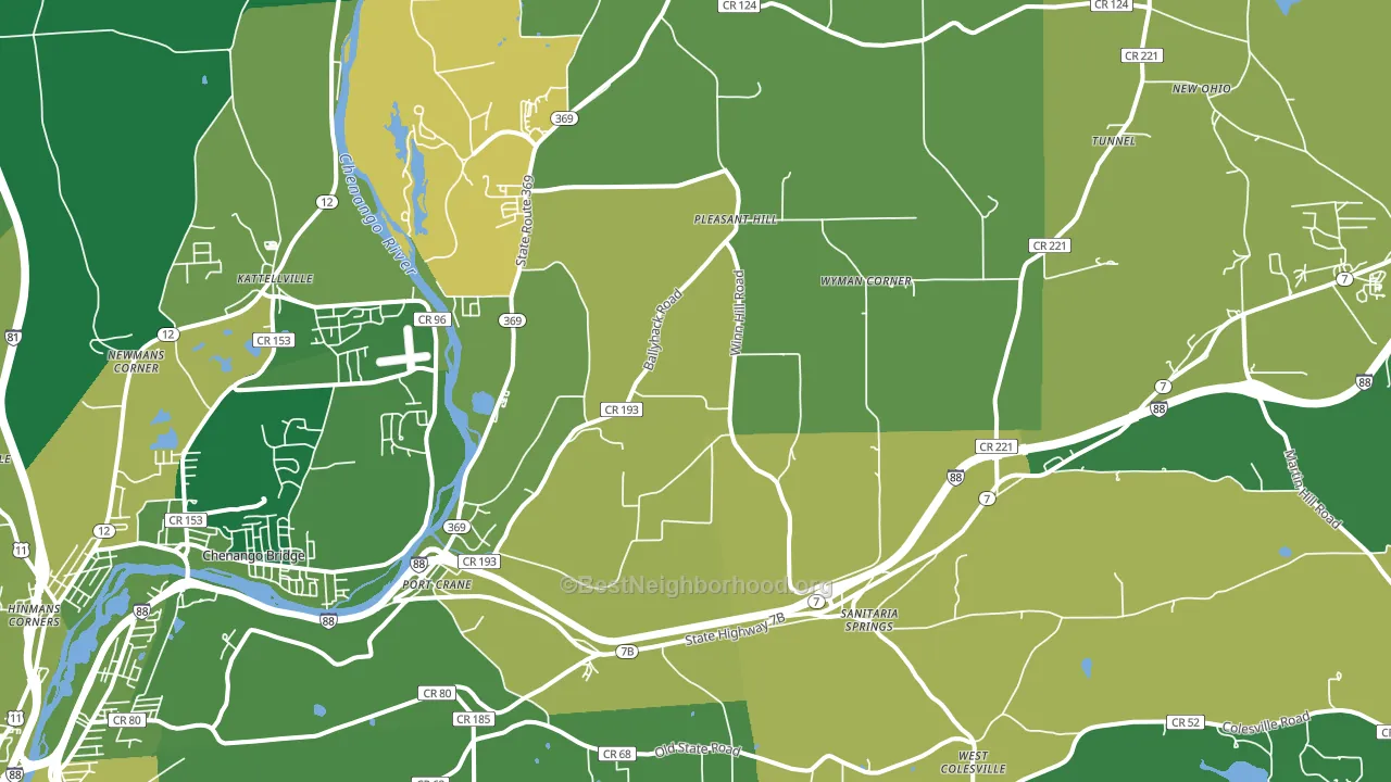 Port Crane, NY block-group voter-turnout map