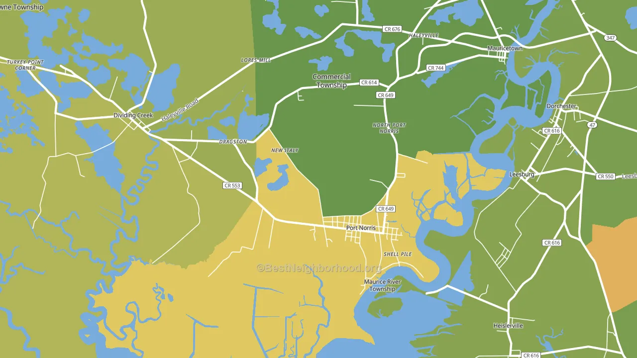 Port Norris, NJ block-group voter-turnout map