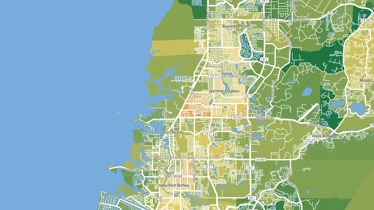 Port Richey, FL block-group voter-turnout map