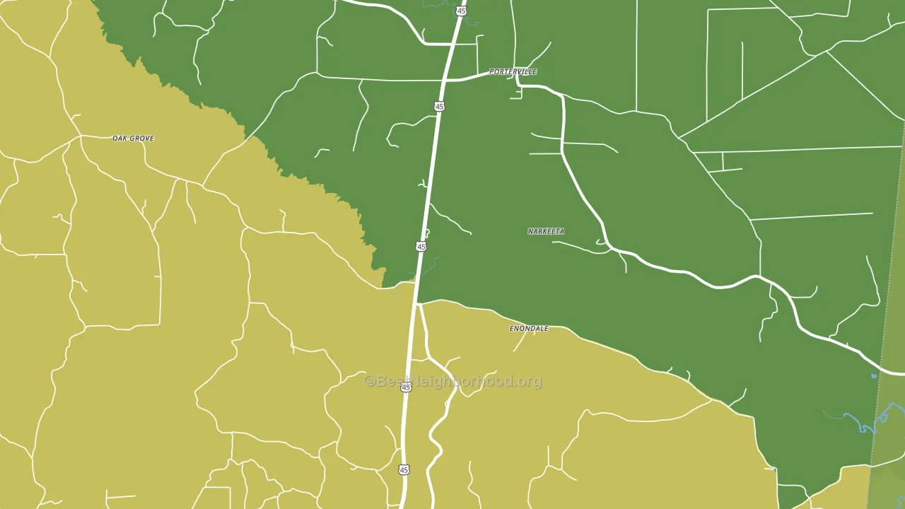 Porterville, MS block-group voter-turnout map