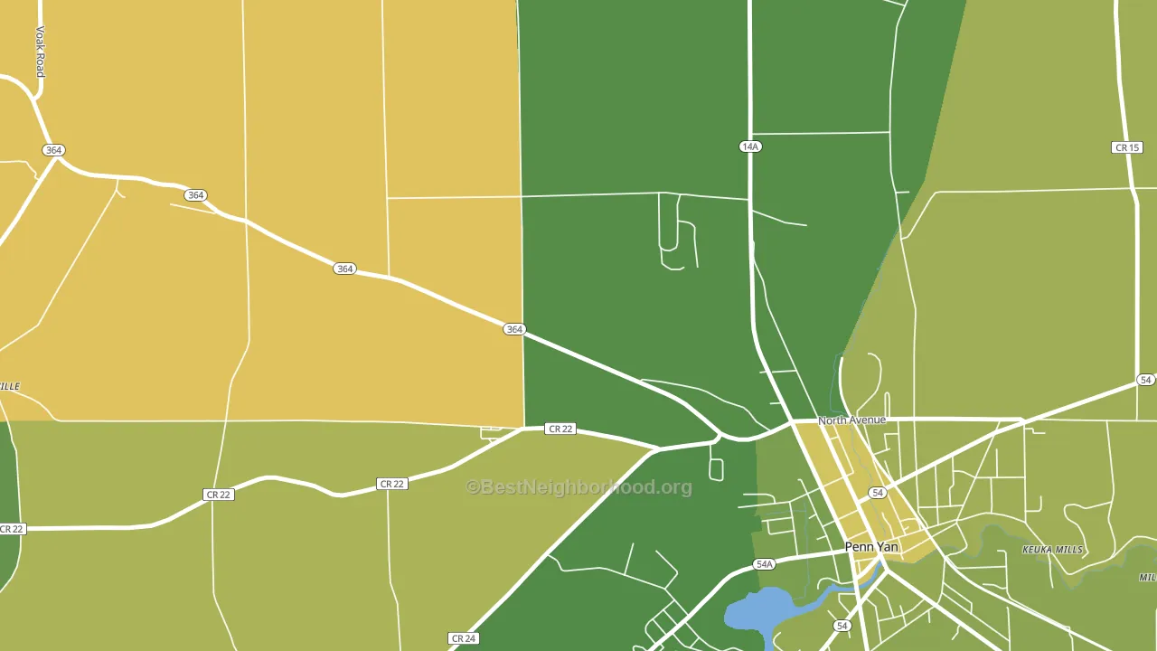 Potter, NY block-group voter-turnout map