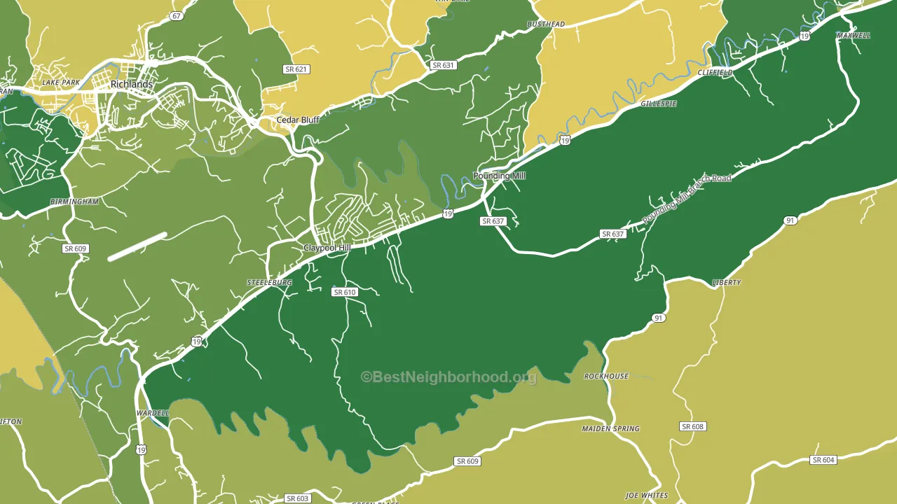 Pounding Mill, VA block-group voter-turnout map