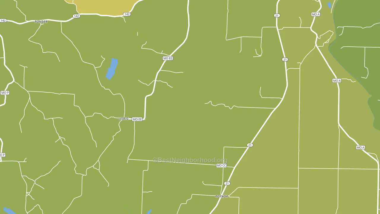 Poynor, MO block-group voter-turnout map