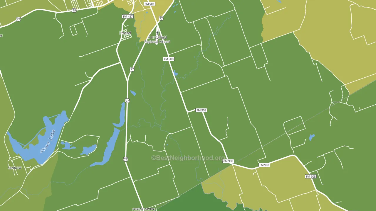 Praesel, TX block-group voter-turnout map