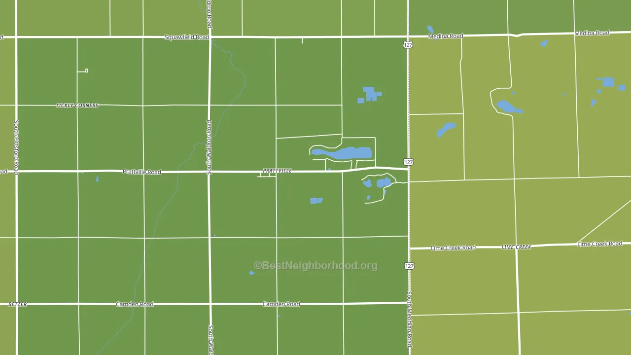 Prattville, MI block-group voter-turnout map